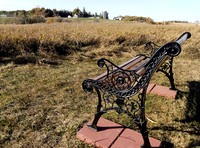 Photos from Oct. 23, 2024 Pioneer